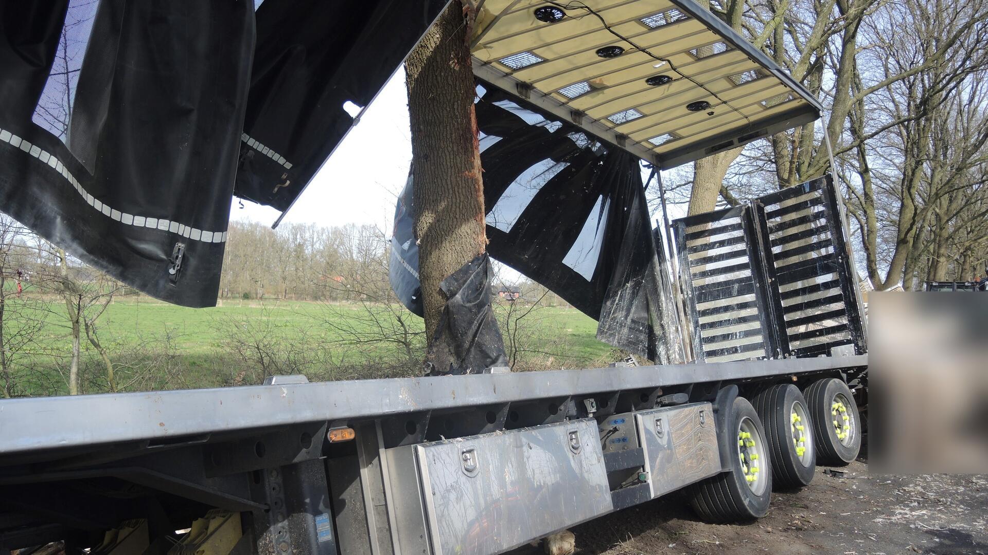 Am Dienstag verunglückt ein Tiertransporter an der Bundesstraße B 74. 2.500 Hühner sterben.