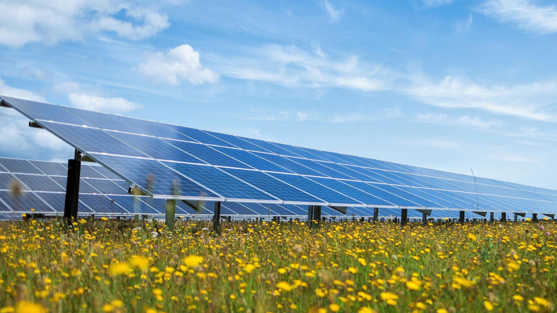 Am Ortsrand von Tarmstedt ist eine Freiflächen-Photovoltaikanlage geplant. Der Gemeinderat gibt dem Vorhaben grünes Licht.