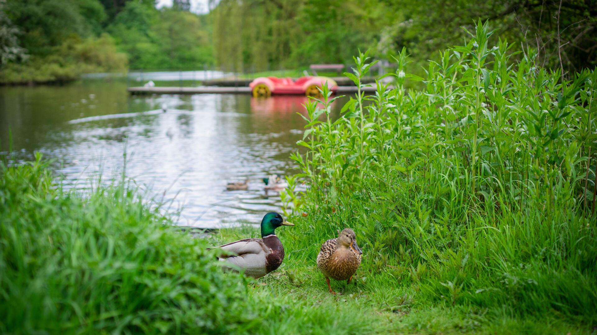 Am Sonntag, 9. Juni, wurde ein 20-Jähriger im Bürgerpark Bremerhaven Opfer einer mutmaßlich rassistischen Gewalttat.