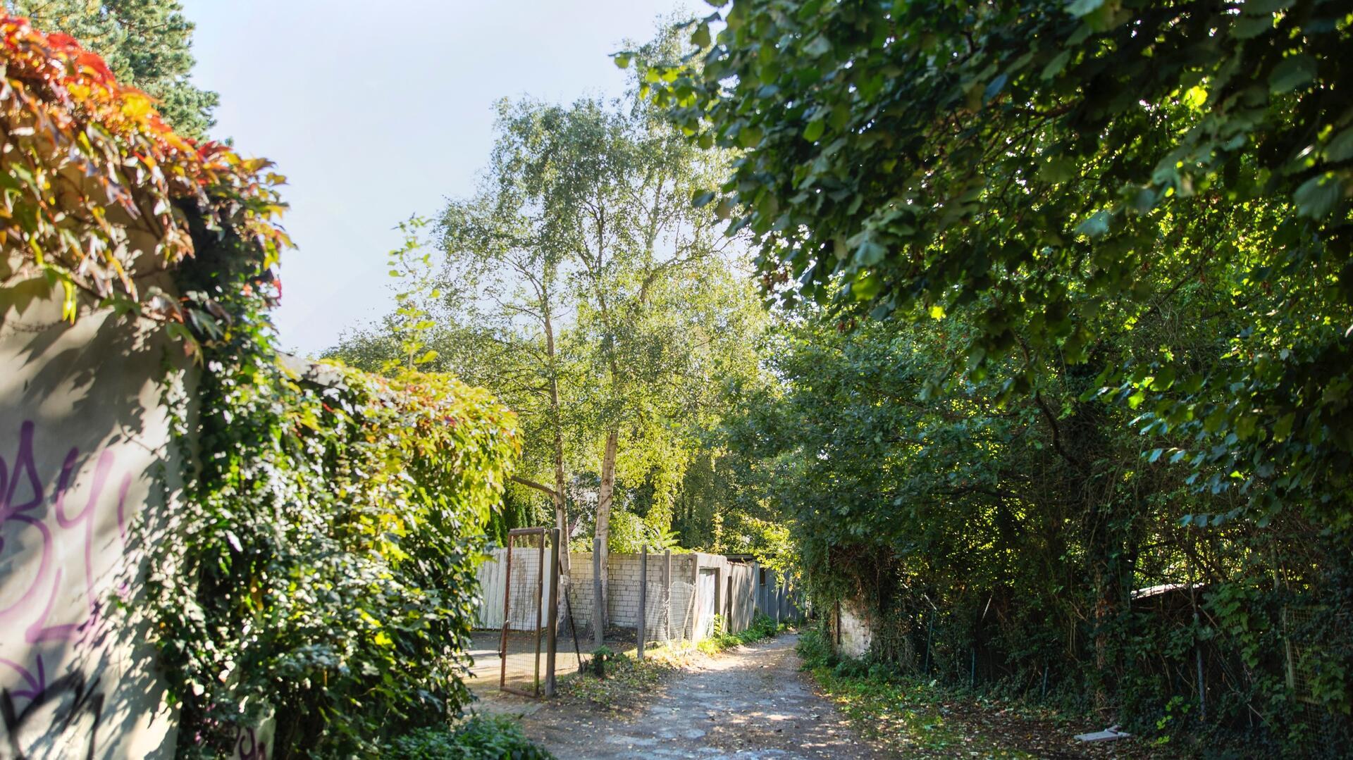 An der Weichselstraße in Bremerhaven-Lehe könnte viel Grün verschwinden, wenn der Kita-Neubau kommt.