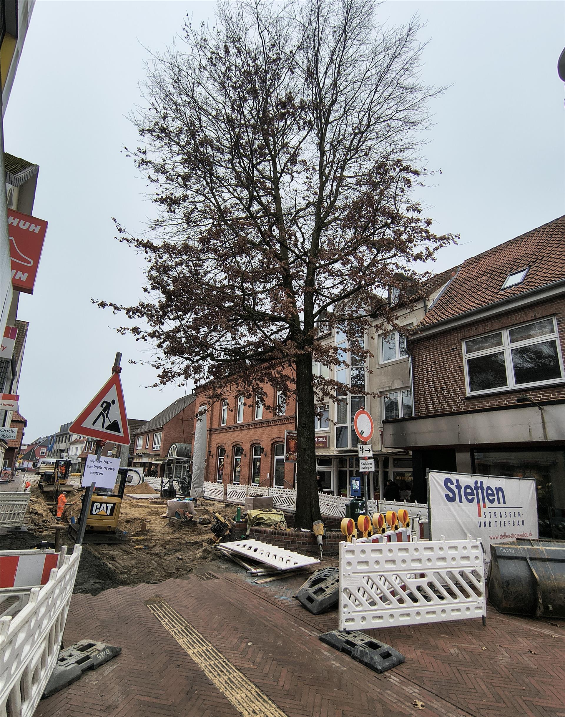 Auch der letzte verbliebene Baum in der Brunnenstraße wird in Kürze verschwinden. 