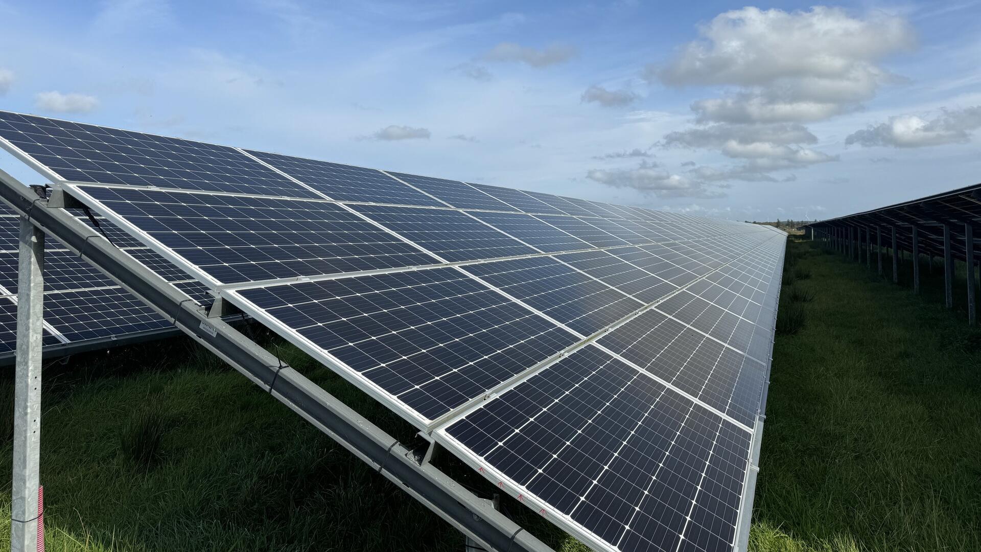 Photoelektrische Module in einem Solarpark in Hanstholm, Dänemark.