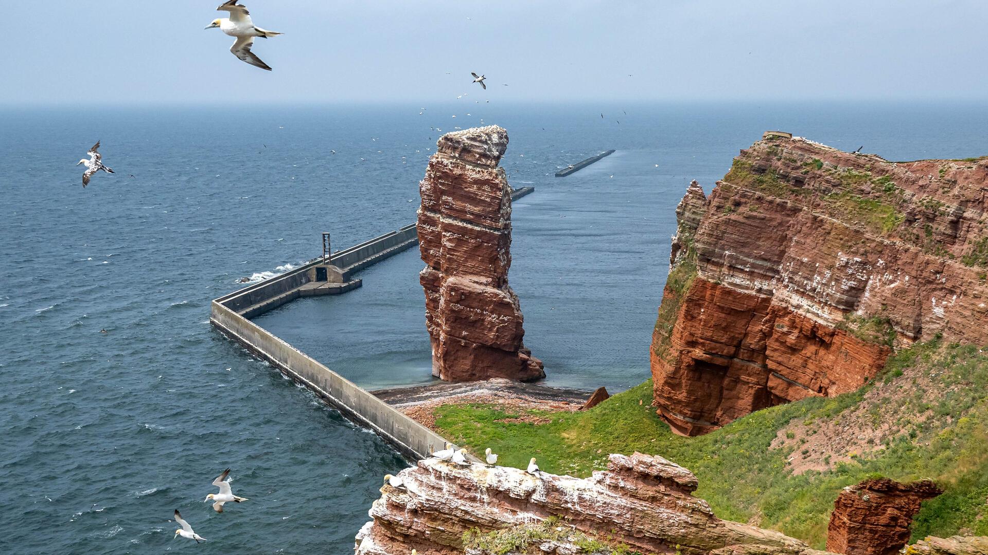 Auf Helgoland muss eine Bombe entschärft werden.