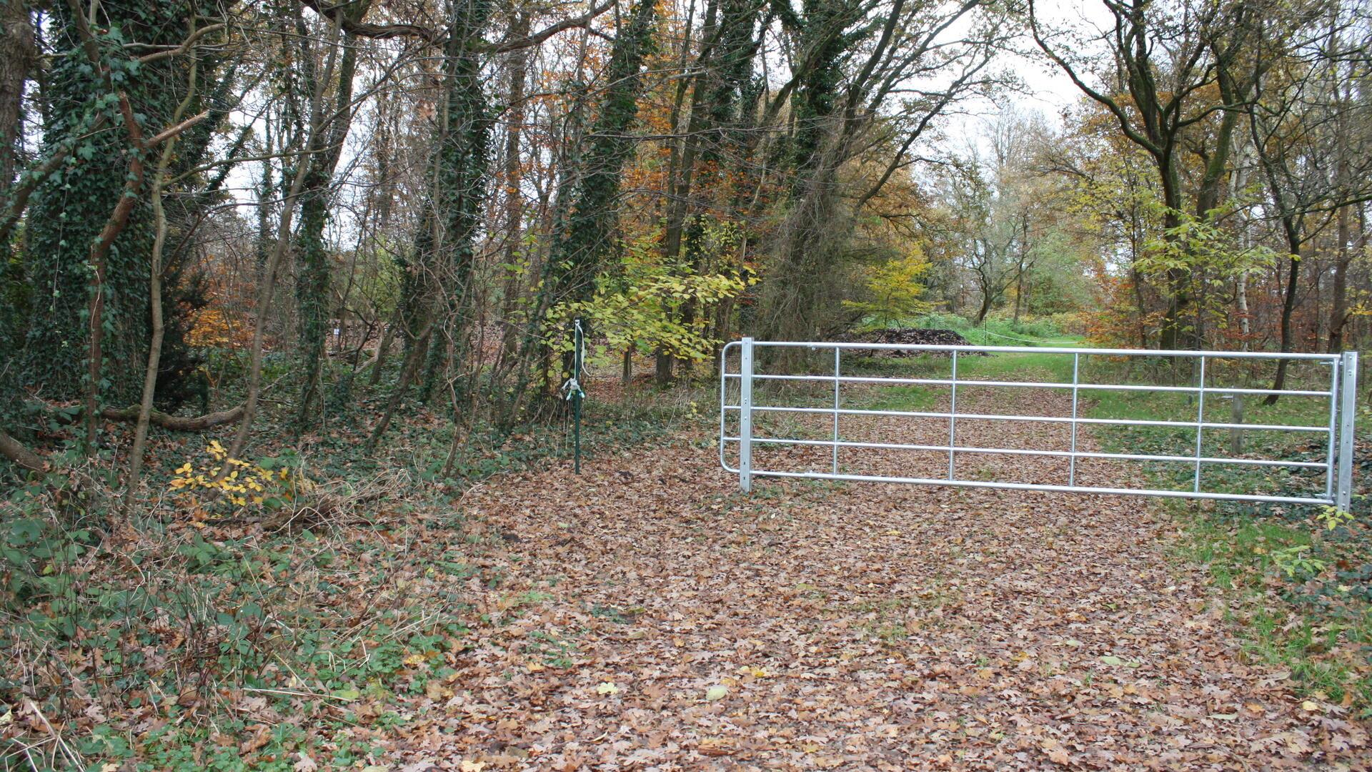 Gittertor versperrt einen laubbedeckten Feldweg zwischen Bäumen