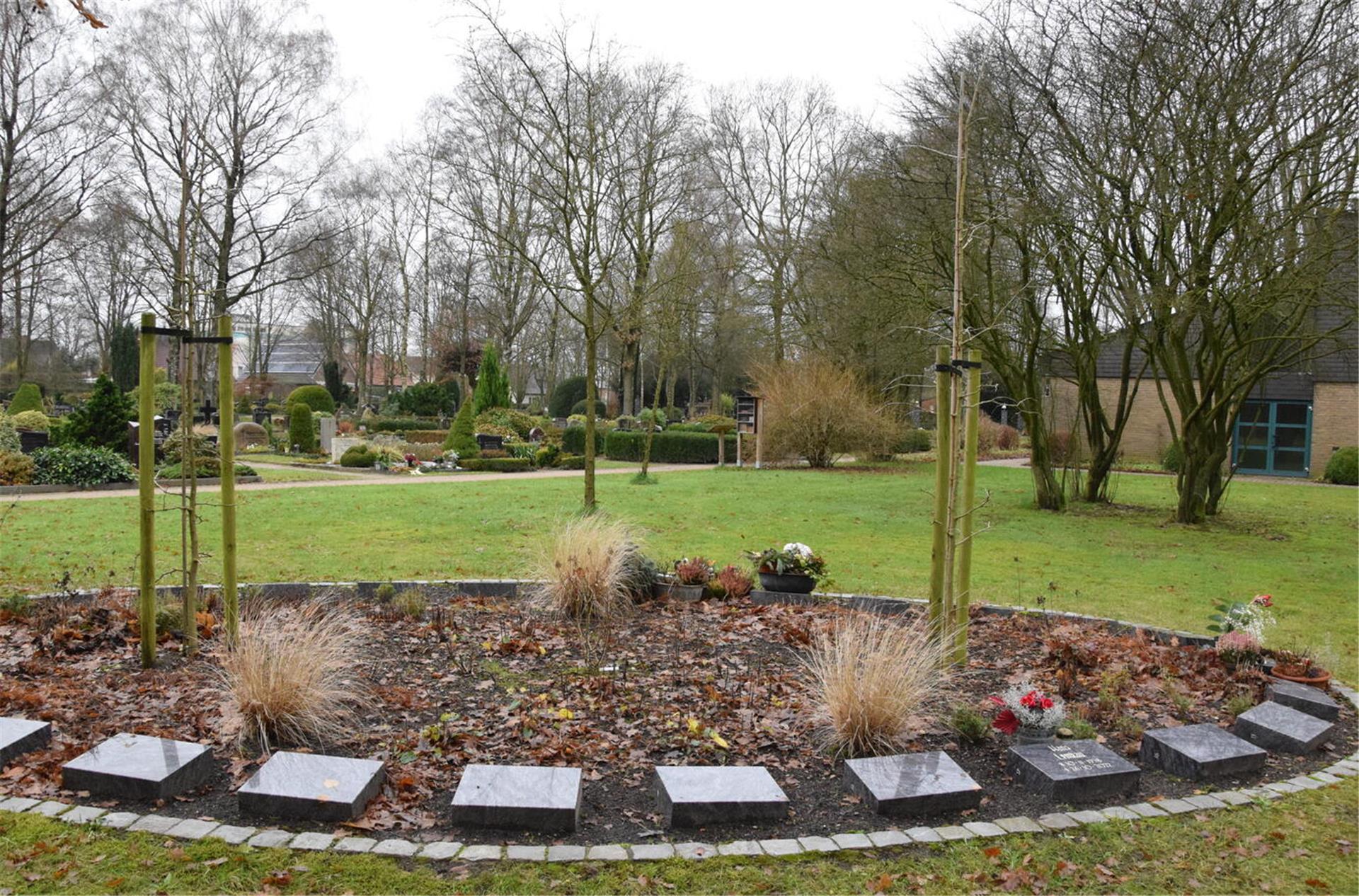 Baumbestattungen wie hier „Unter den Ginkgos“ auf dem Friedhof in Selsingen