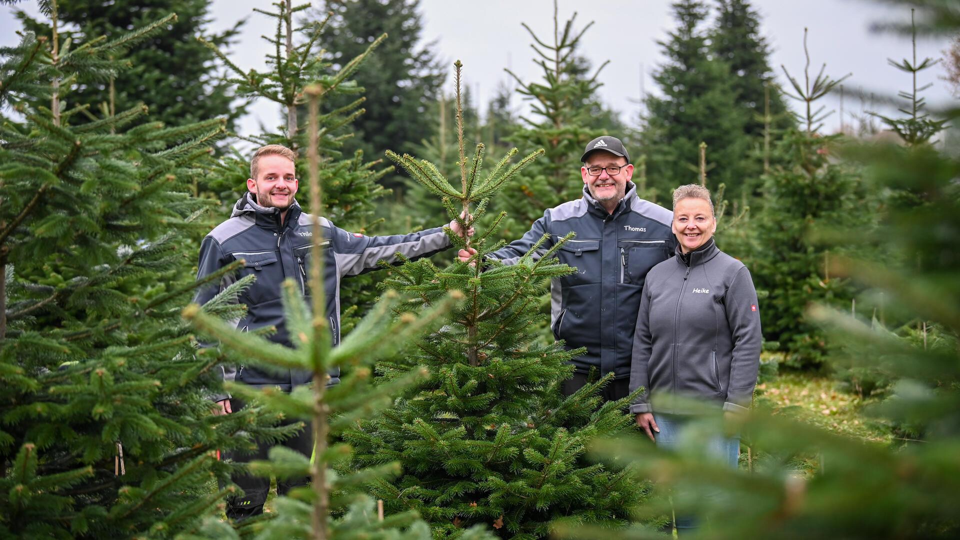 Bei Heike, Thomas und Thilo (li.) Heins in Meckelstedt beginnen die Vorbereitungen auf den weihnachtlichen Tannenbaum-Verkauf.