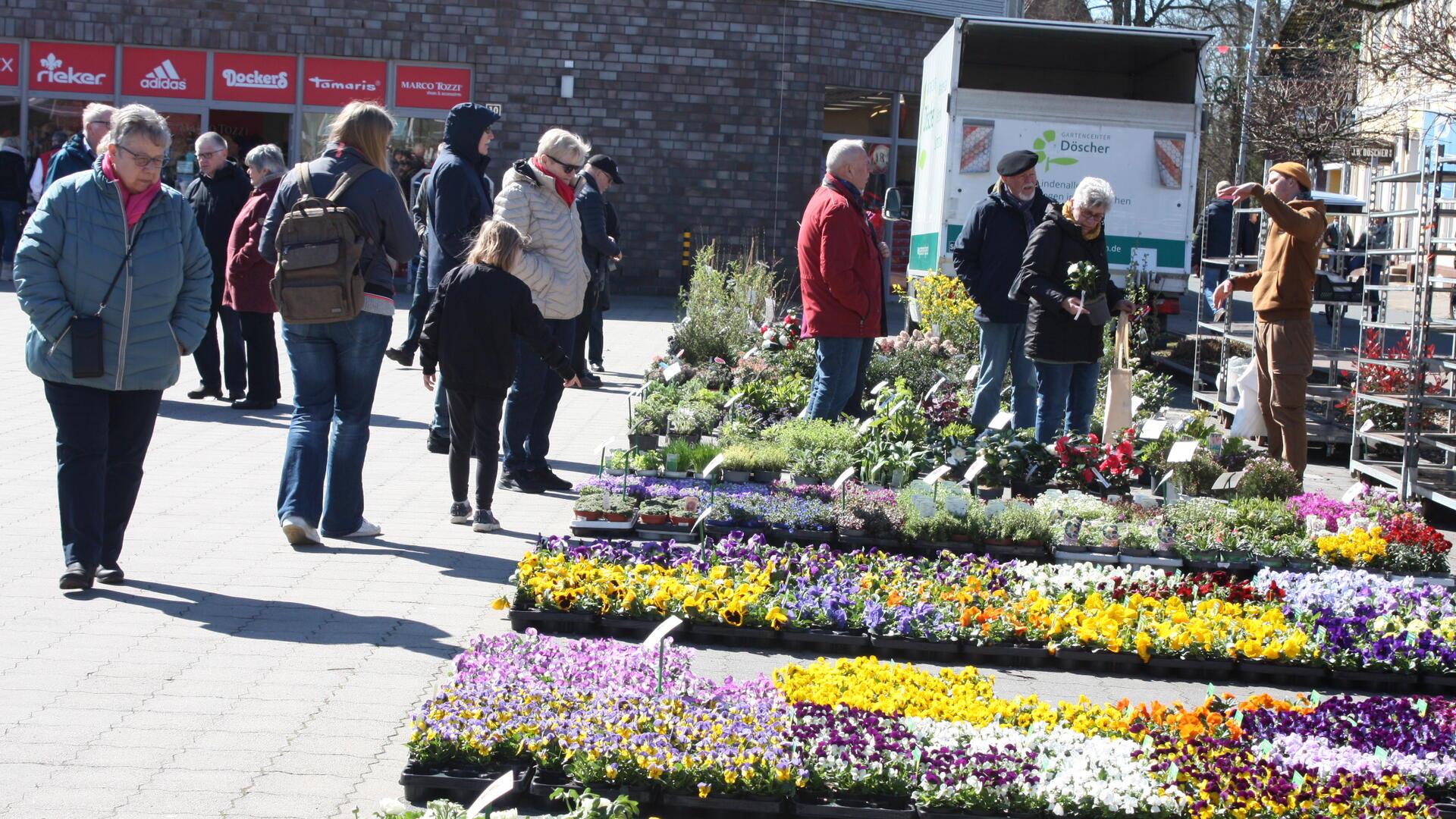 Bei der Gewerbeschau in Beverstedt ist das Angebot an Frühlingsblühern groß.