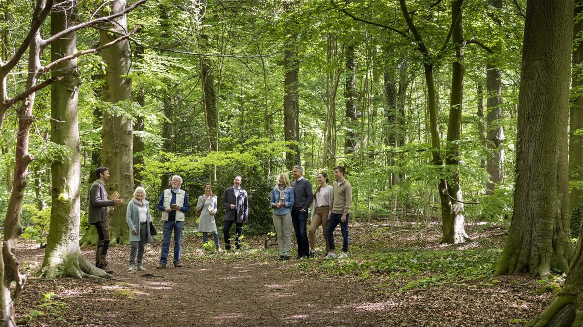 Bei einer Waldführung erfahren Interessierte alles Wissenswerte zur Bestattung in der Natur und erleben die Schönheiten des Waldes.