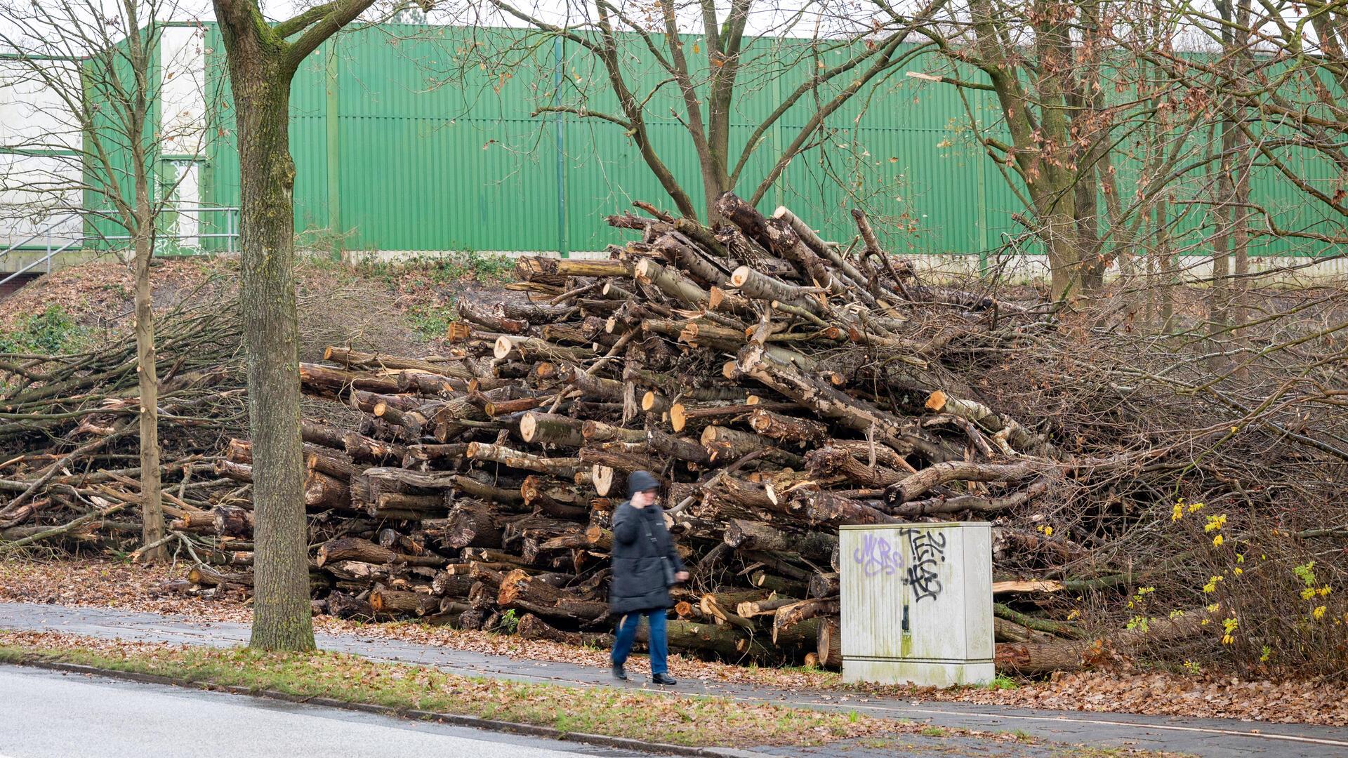 Bereits vor einem Jahr wurden zahlreiche Bäume an der A27 im Bereich der Spadener Straße gefällt. 