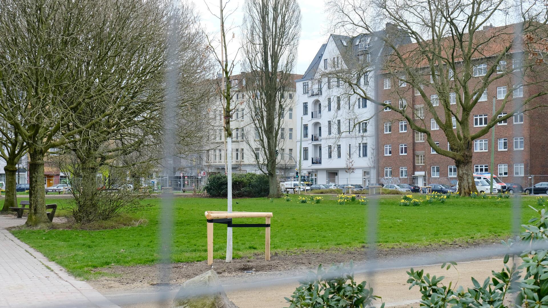 52 junge Zerr-Eichen auf dem Waldemar-Becké-Platz gepflanzt