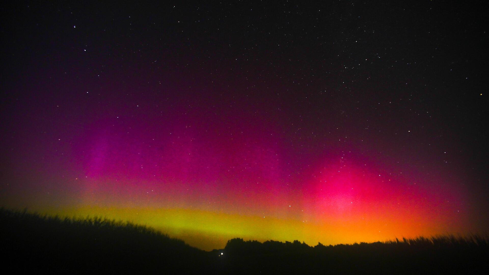 Polarlichter über der schwarzen Silhouette von Bäumen