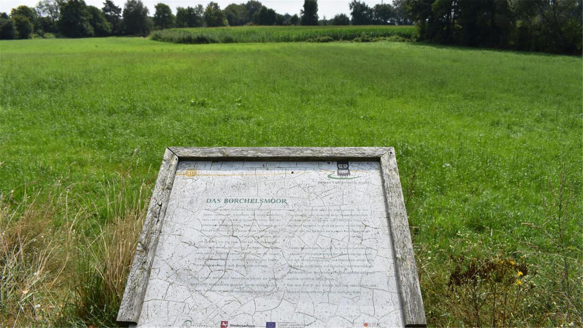 Ein altes Hinweisschild vor einer grünen Wiese.