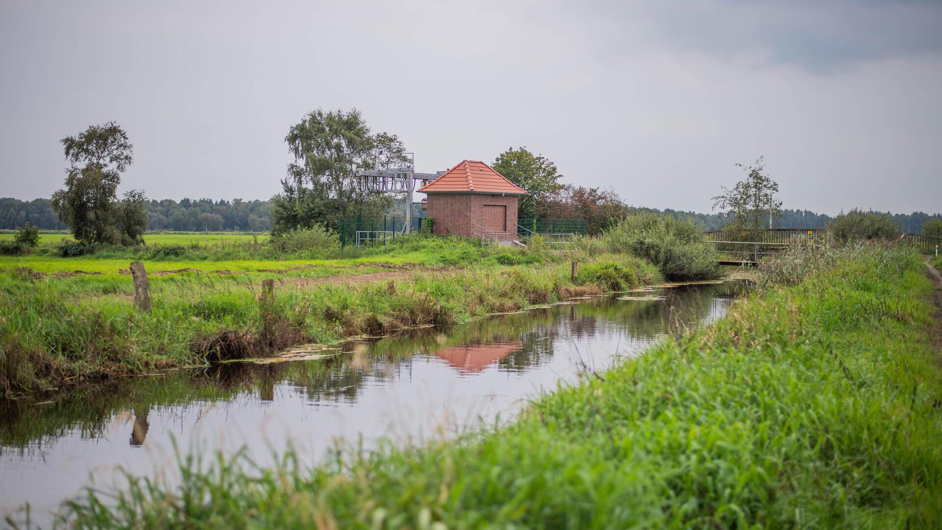 Blick auf die Rohr am Schöpfwerk des Apeler See bei Schiffdorf.