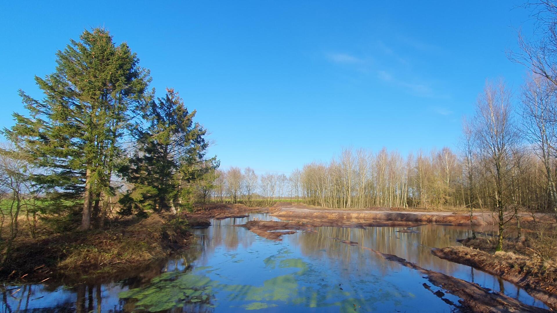 Blick in die Sandgrube nach Umsetzung.