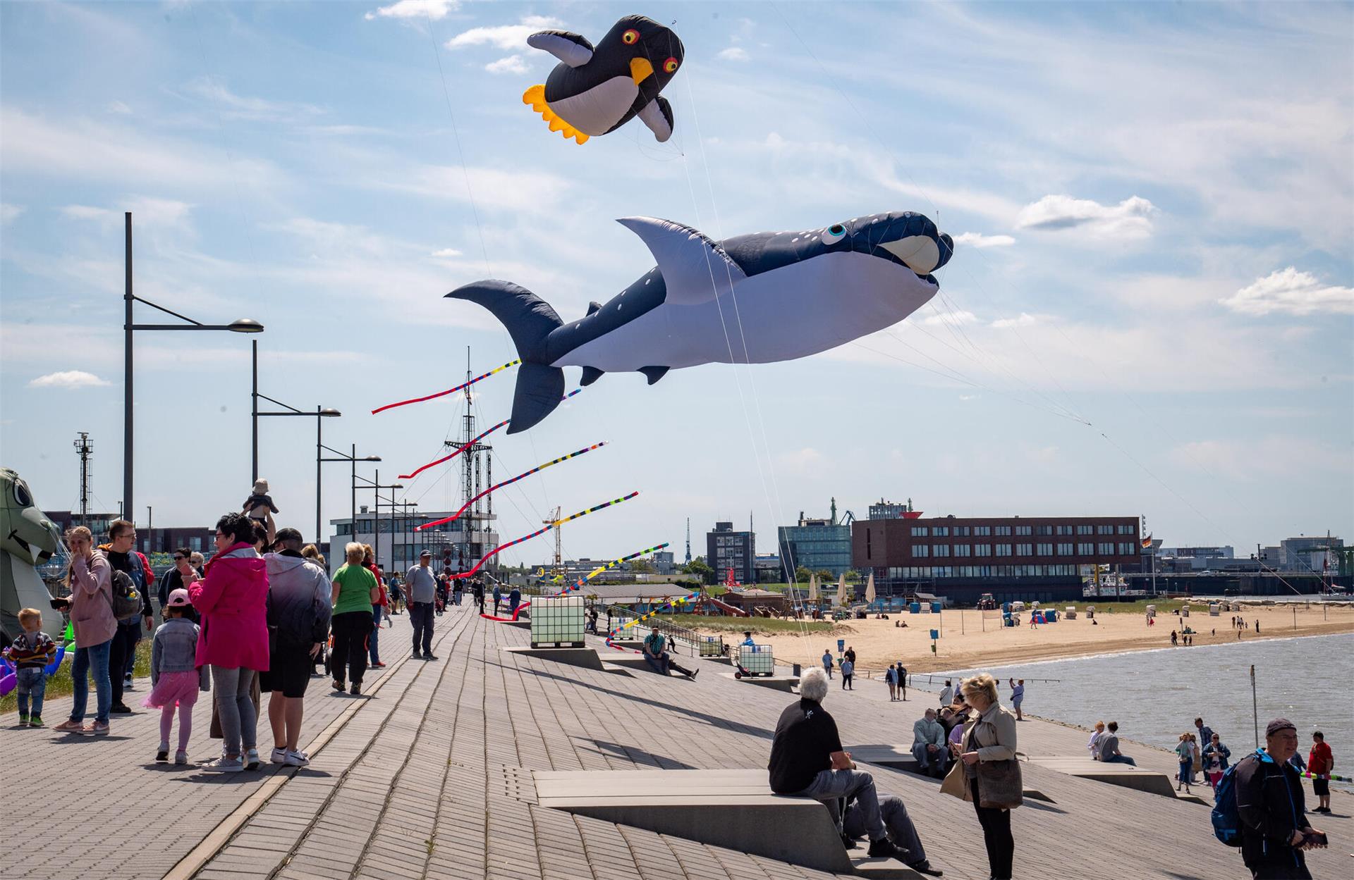 Drachenfestival am Weserdeich in Bremerhaven