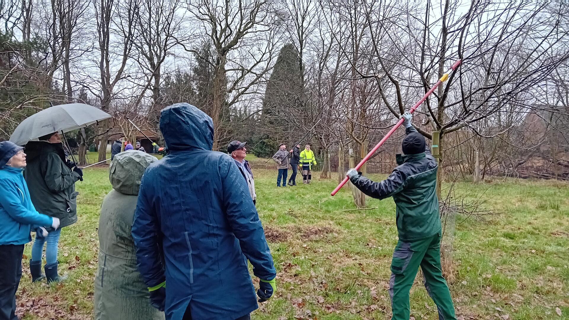 Damit ein Obstbaum nicht nur gut wächst, sondern auch Früchte trägt, muss er gelegentlich beschnitten werden. Beim NABU können Gartenfreunde lernen, worauf es dabei ankommt.