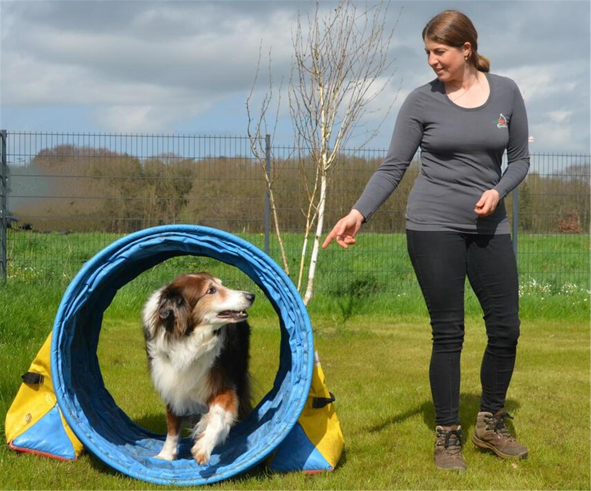 Unter den Augen der Hundetrainerin läuft ein Hund durch eine Rolle auf einer Wiese