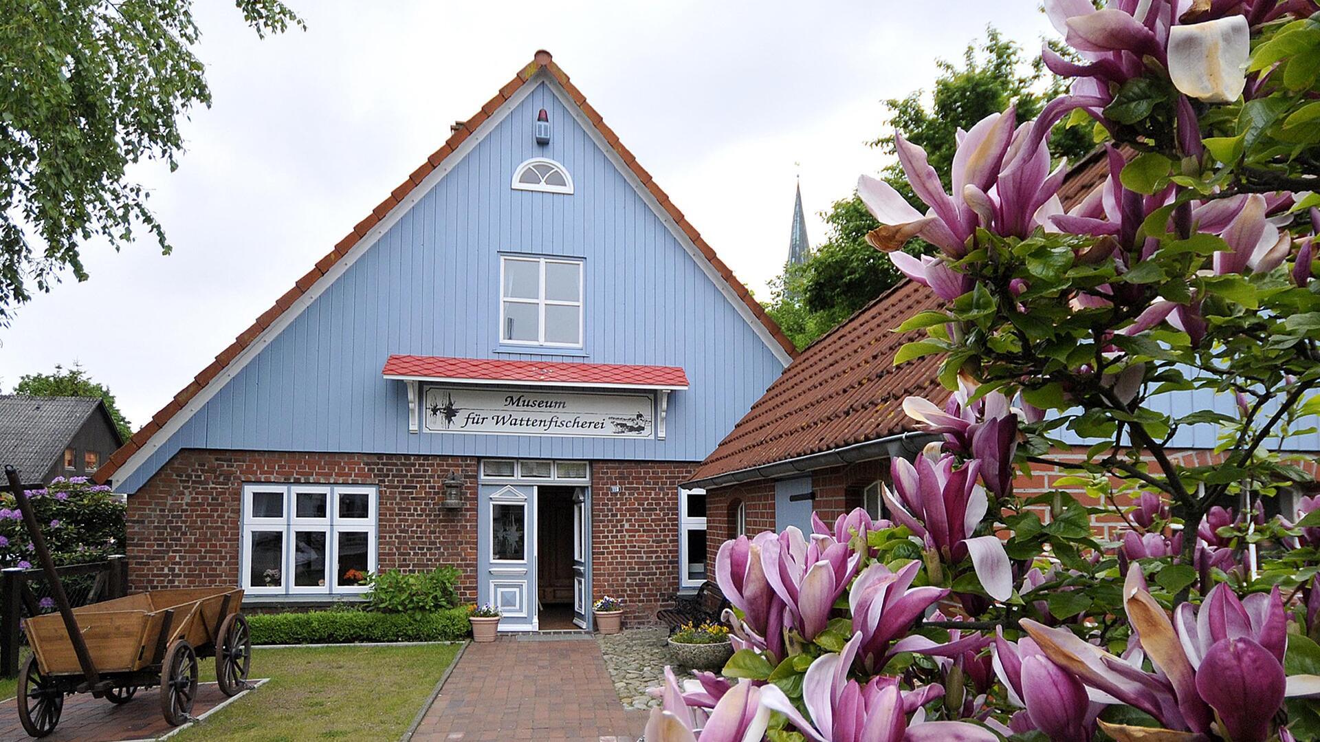 Das Museum für Wattenfischerei im Nordseebad Wremen ist eine kleine Perle in der Museumslandschaft der Gemeinde Wurster Nordseeküste.