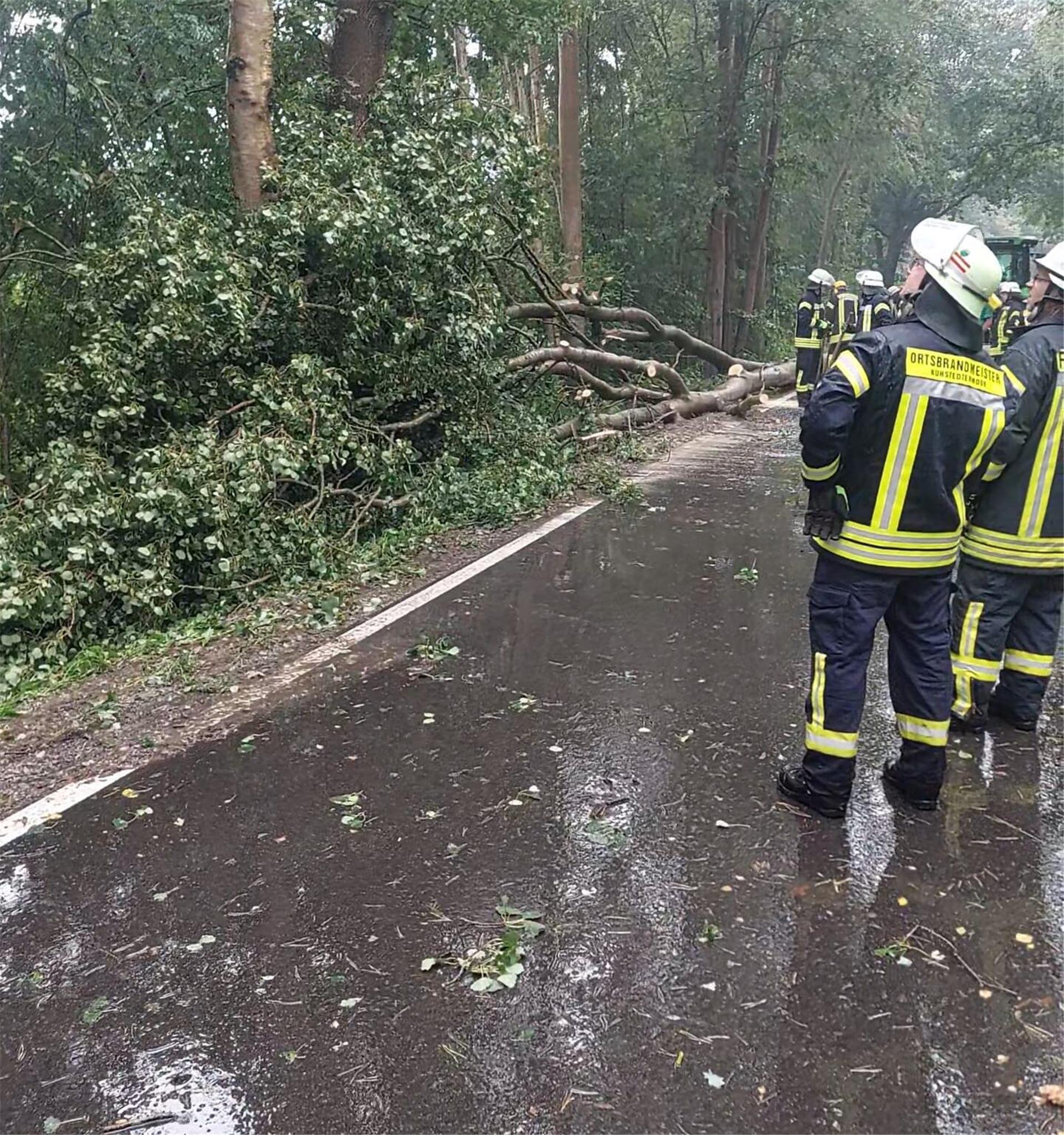 Das Unwetter am Sonntagnachmittag hatte in der Gemeinde Gnarrenburg zahlreiche umgestürzte Bäume zur Folge.