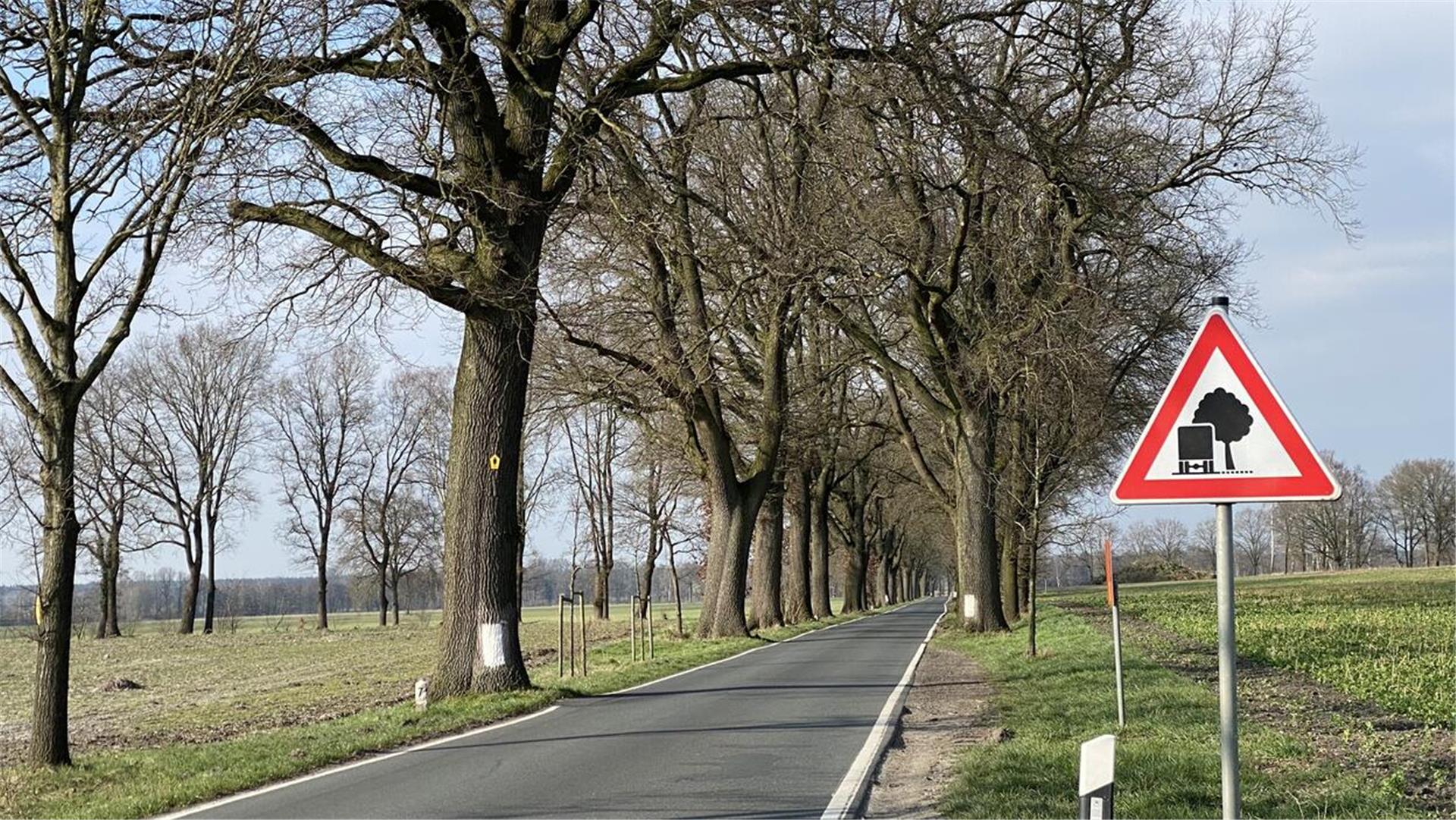 Verkehrszeichen an einer geschützten Allee