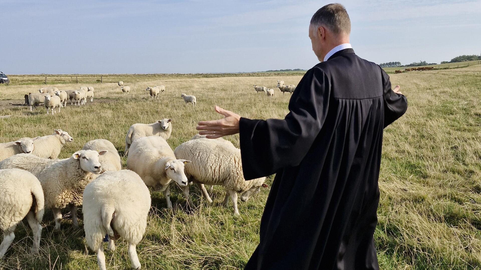 "Deichschäfer gesucht": Mit schönen Bildern - hier mit Pastor Stephan Büttner - unterstreicht der Kirchenkreis Wesermünde seine Suche nach einem Pastor oder einer Pastorin für die Wurster Küste.