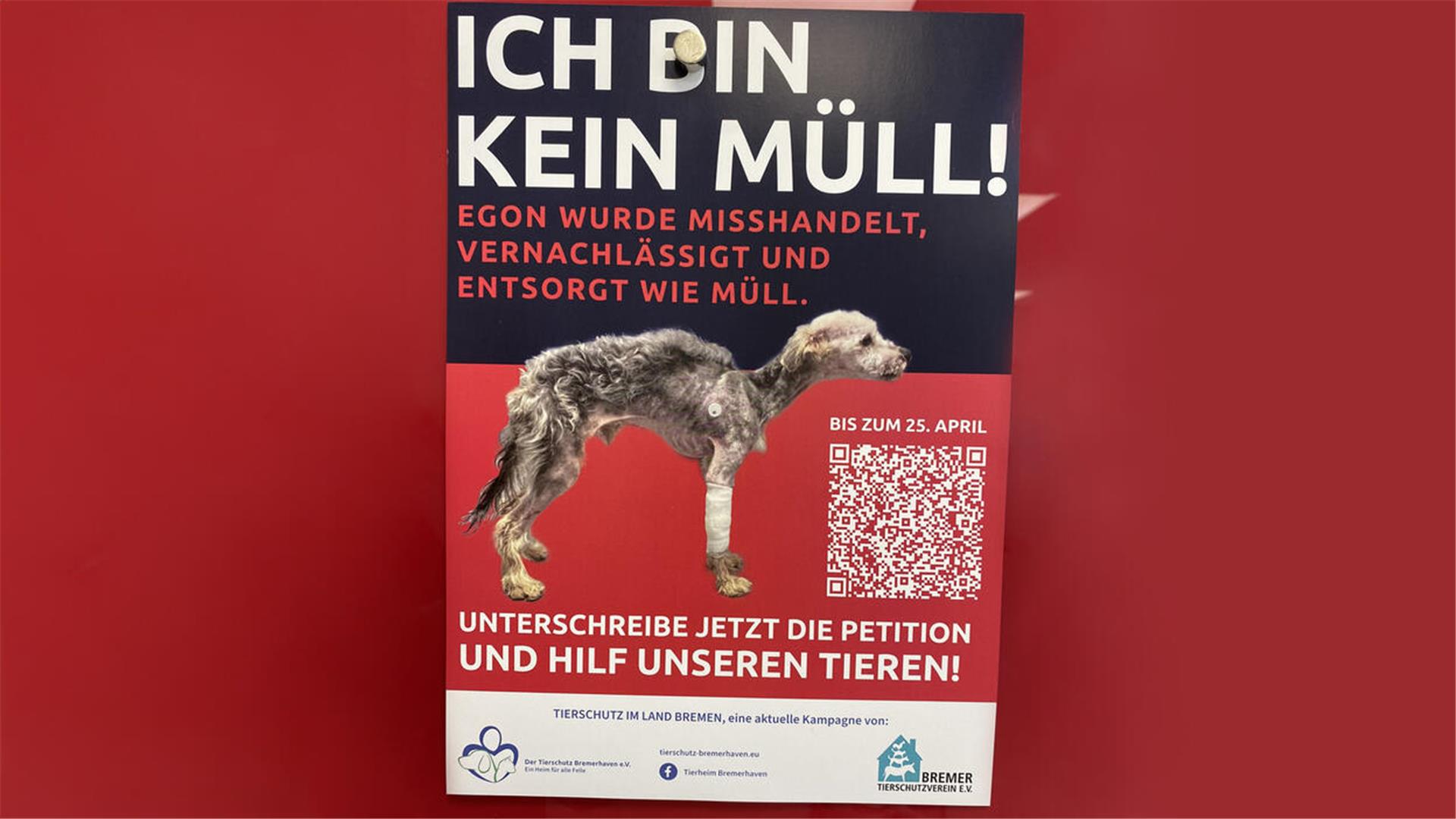 Der Flyer zur Tierschutzpetition zeigt, in welchem Zustand Hund Egon wenige Tage nach seinem Auffinden war.