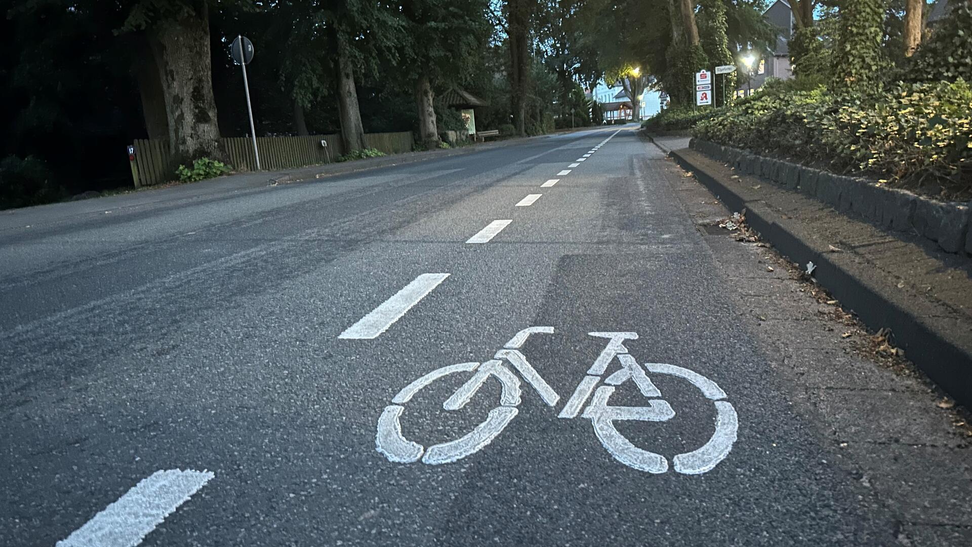 Ein Fahrrad-Piktogramm auf einer Straße.