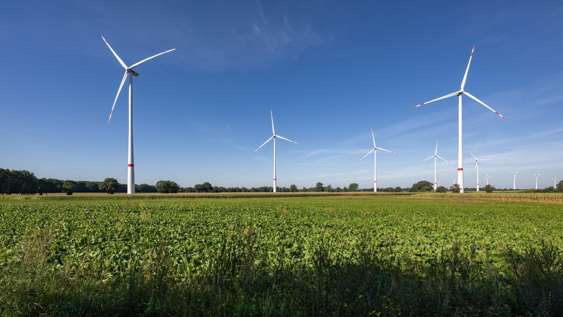 Der Windpark Wilstedt-Süd produzierte 2023 etwa 84 Millionen Kilowattstunden pro Jahr. Künftig sollen die Kommunen finanziell von den Windkraftanlagen profitieren.