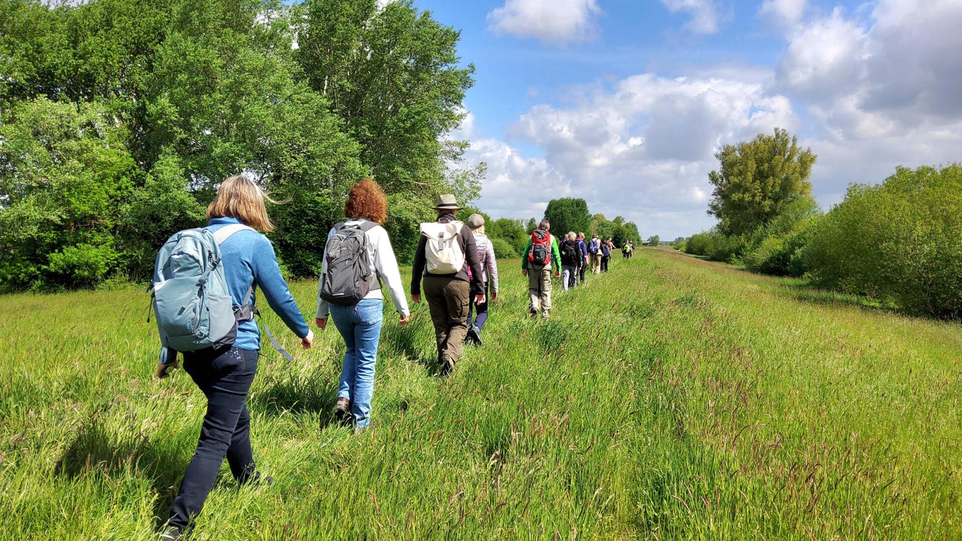 Der bundesweite „Tag des Wanderns“ bietet Anlass, die Schuhe zu schnüren und zum Beispiel einen der Nordpfade zu wandern. Rund um Rotenburg gibt es an dem Tag zudem fünf geführte Sternwanderungen zu unterschiedlichen Themen.