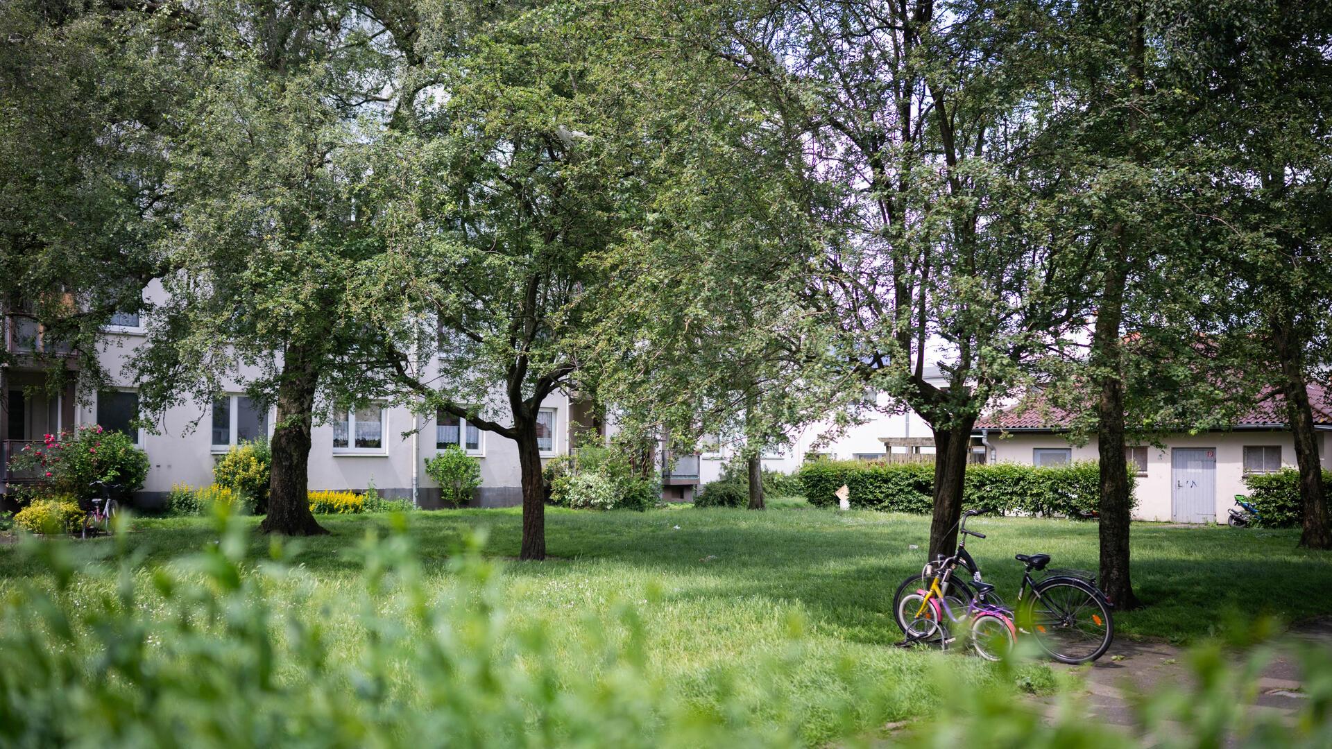 Der künftige Bauplatz für die neue DRK-Kindertagesstätte in der Luisenstraße in Lehe.