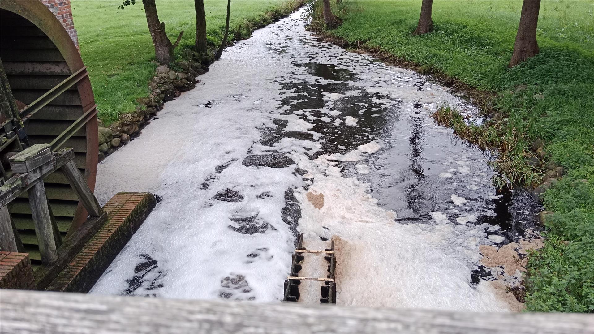 Die Bade im August 2023 bei Bademühlen: Eine schaumige, ölige Brühe, in der Fische mangels Sauerstoffs erstickt waren.