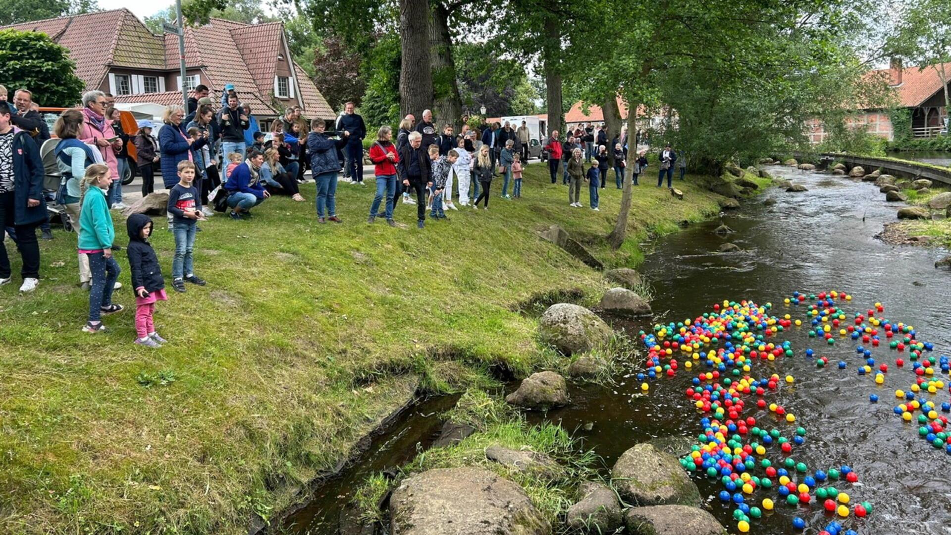 Die Bälle sind von der Sohlgleite der Oste bis in den Dionysius-Park geschwommen.