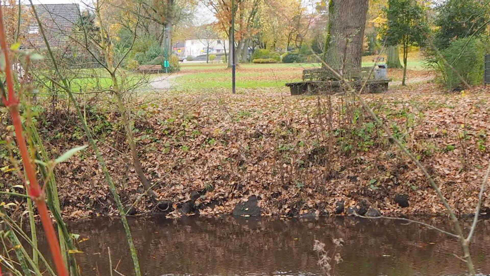 Im Vordergrund Wasser und im Hintergrund eine Rasenfläche und Bäume.