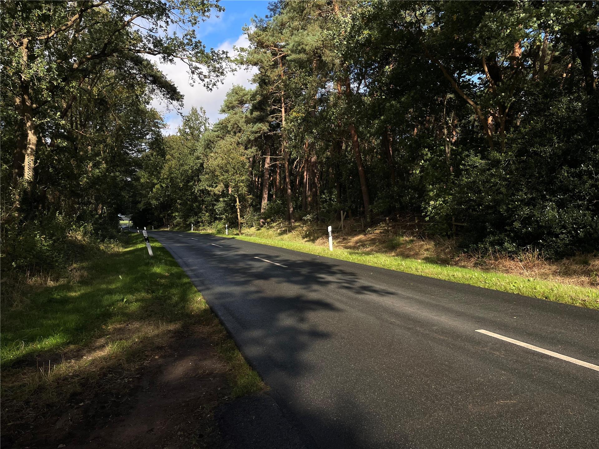 Die Kreisstraße 146 zwischen Dipshorn und Otterstedt wird von der kommenden Woche an gesperrt. Autofahrer müssen eine Umleitung fahren.