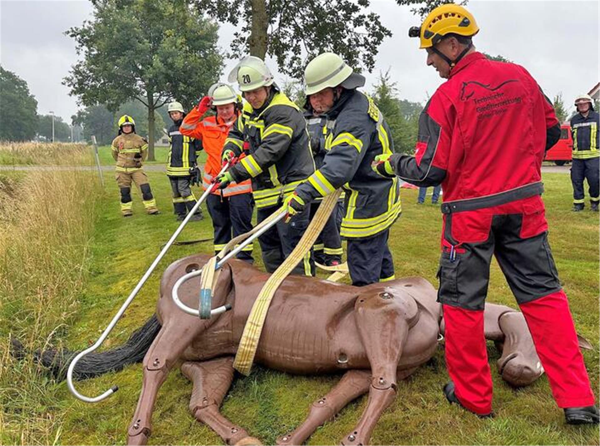 Einige Feuerwehrleute lernen an einem hölzernen Pferd, dem verunglückten Tier einen Gurt anzulegen