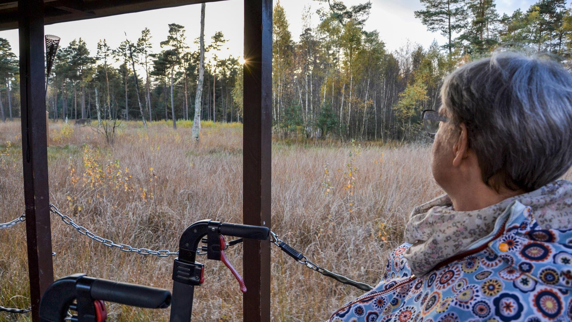 Eine Frau sitzt im Waggon, vor ihr steht ihr Rollator.