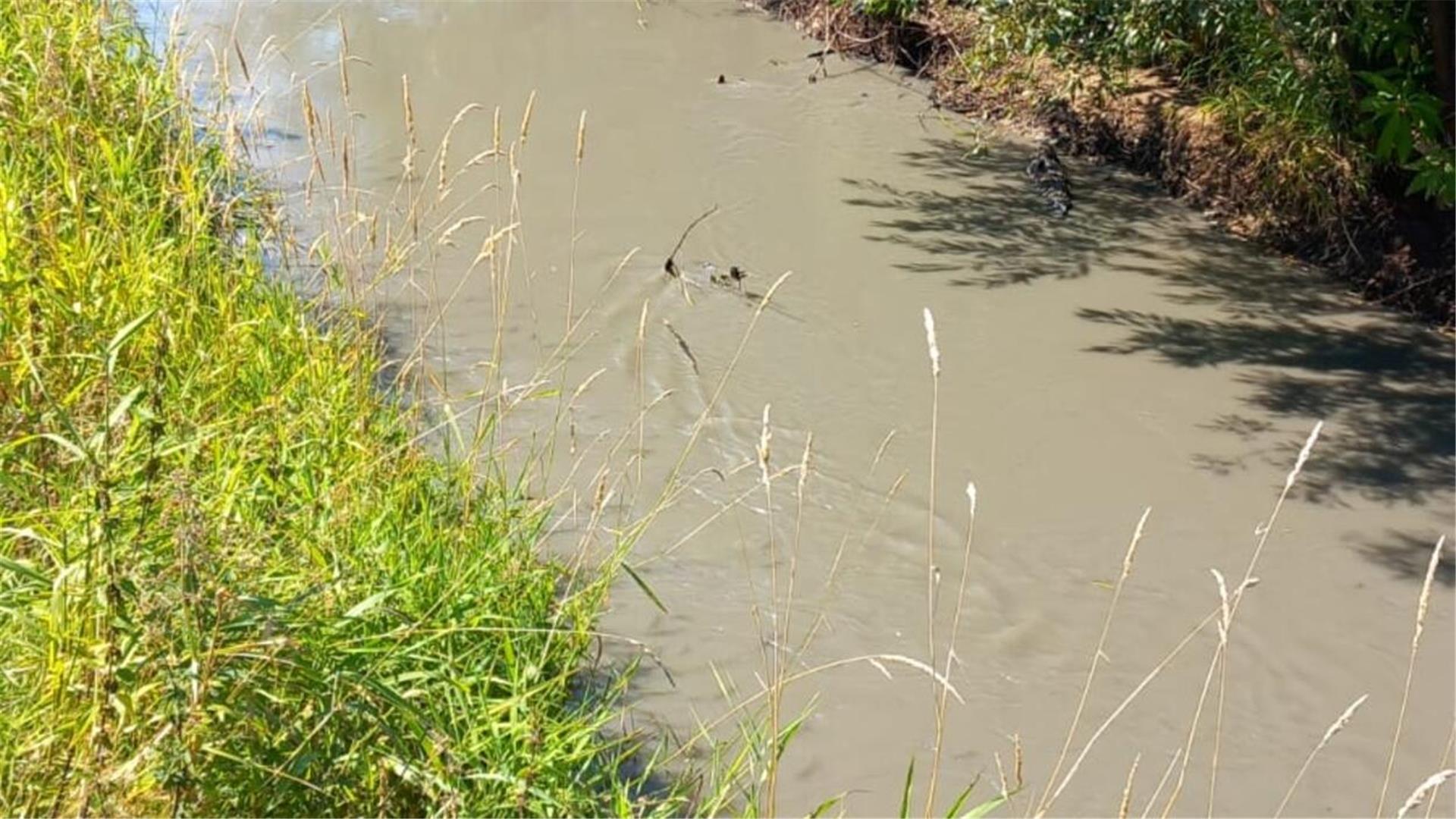 Die Oste bei Weertzen am 13. August. Bentonit trübt das Wasser.