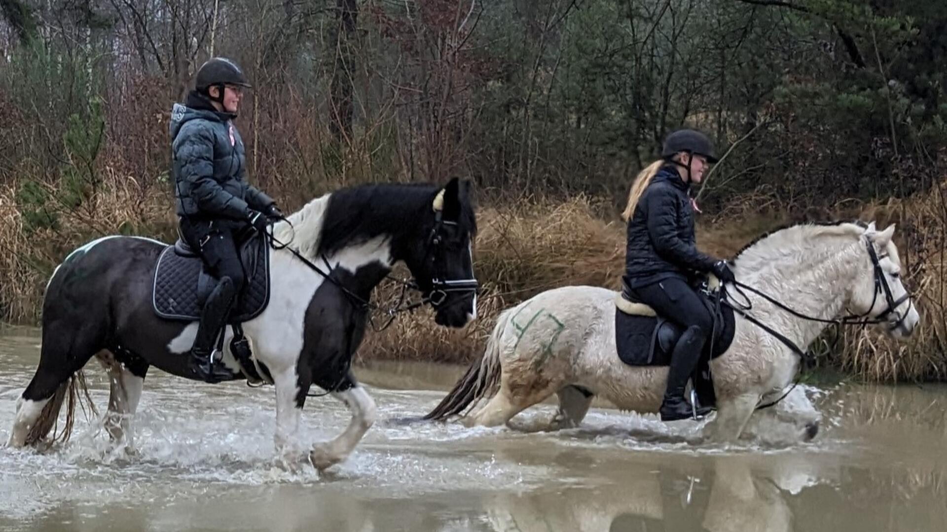 Die Reitsportveranstaltung für Jedermann bot Pferd und Reiter eine breite Palette an Herausforderungen. Höhepunkte waren die Steilhänge und die zahlreichen Wasserflächen, an die sich die Teilnehmer herantrauten.