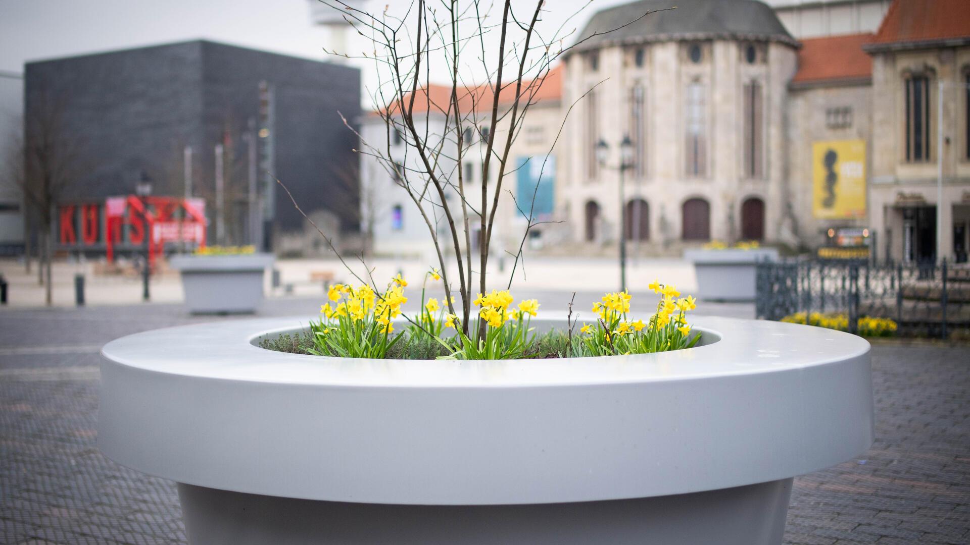 Ein großer Pflanzenkübel mit gelben Blumen steht auf einem öffentlichen Platz.