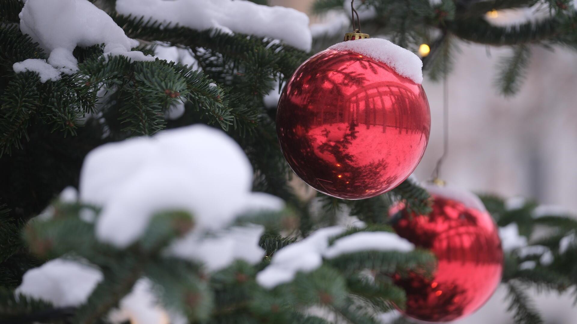 Eine schneebedeckte Kugel hängt an einem Weihnachtsbaum. 