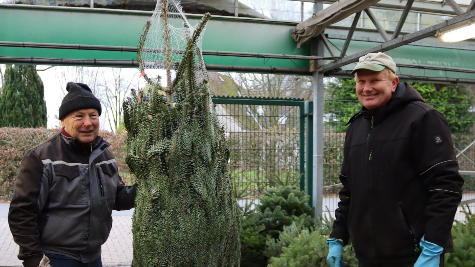 Zwei lächelnde Männer mit einem Weihnachtsbaum im Netz.