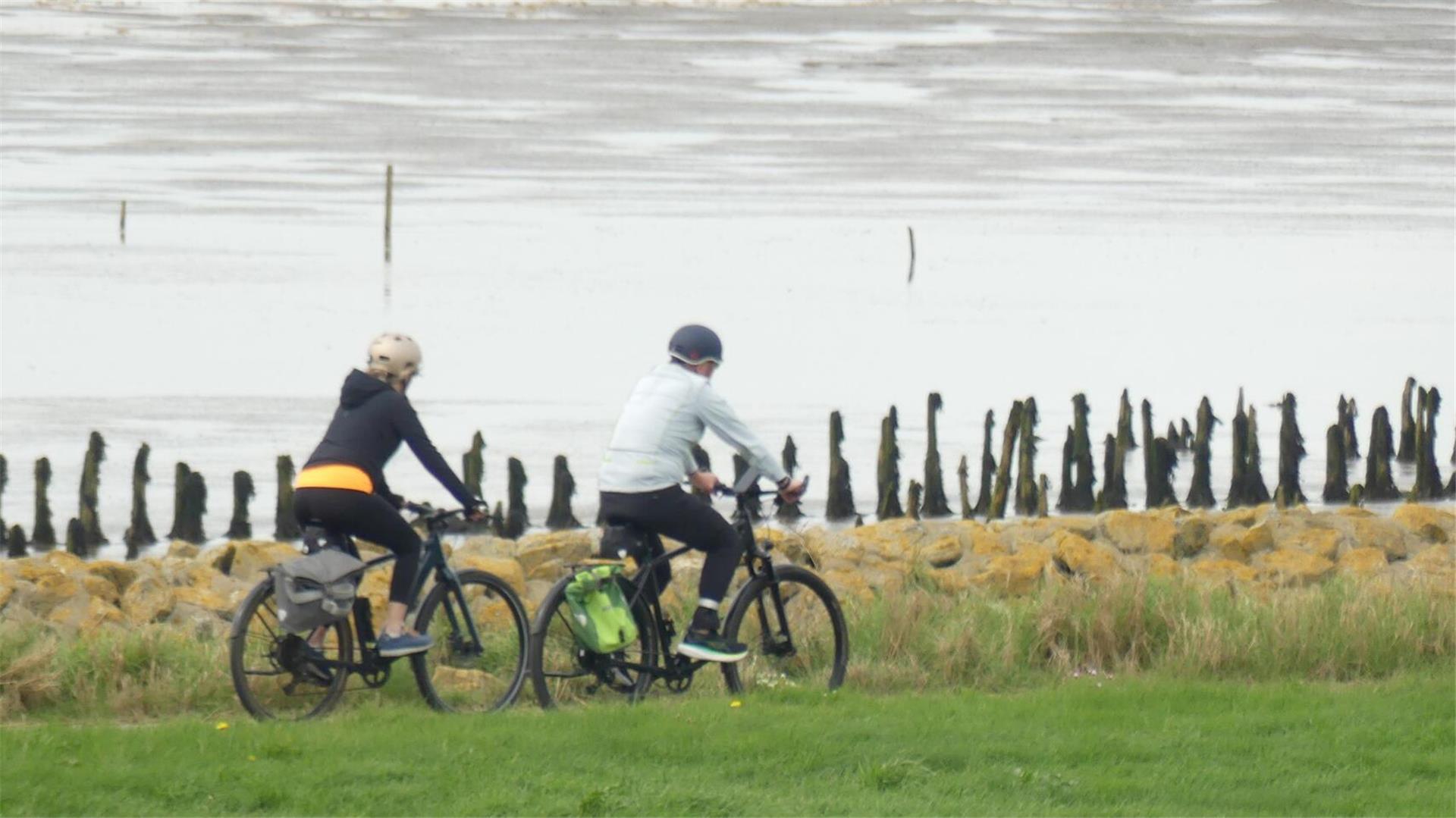 Zwei Personen fahren auf Fahrrädern entlang eines grünen Deichs. Beide tragen Helme und sind sportlich gekleidet, mit einer Tasche am Fahrrad. 