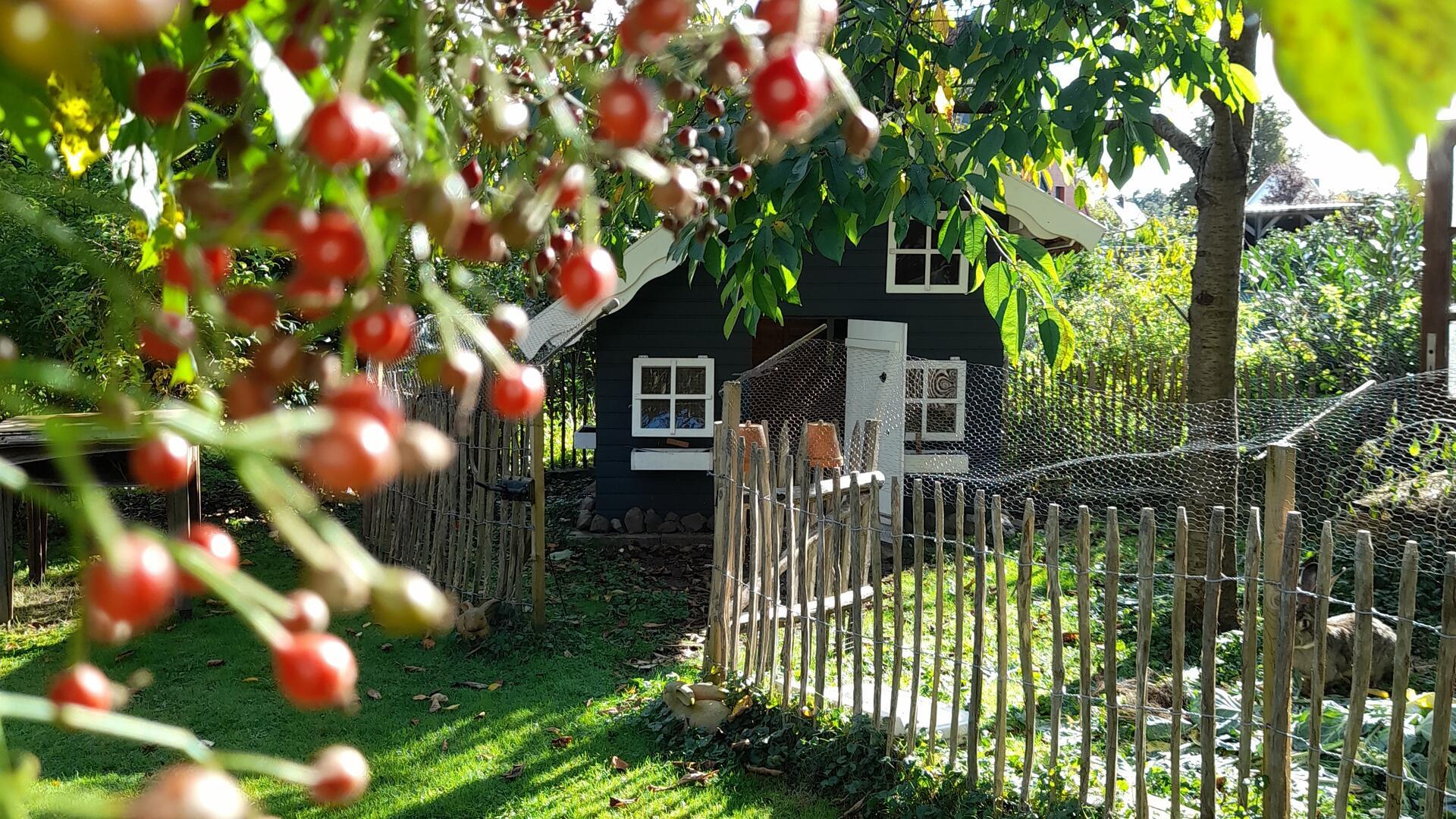 Ein kleines Holzhaus steht hinter einem Holzzaun.