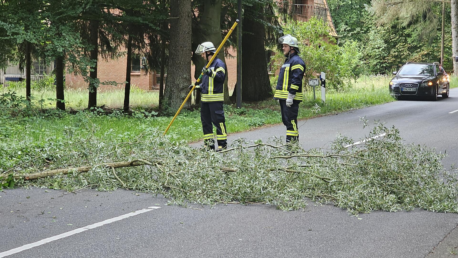 Drei Sturmeinsätze verzeichneten die Einsatzkräfte der Gemeindefeuerwehr Gnarrenburg. Unser Foto zeigt die Brilliter Feuerwehr auf der Osterweder Straße.