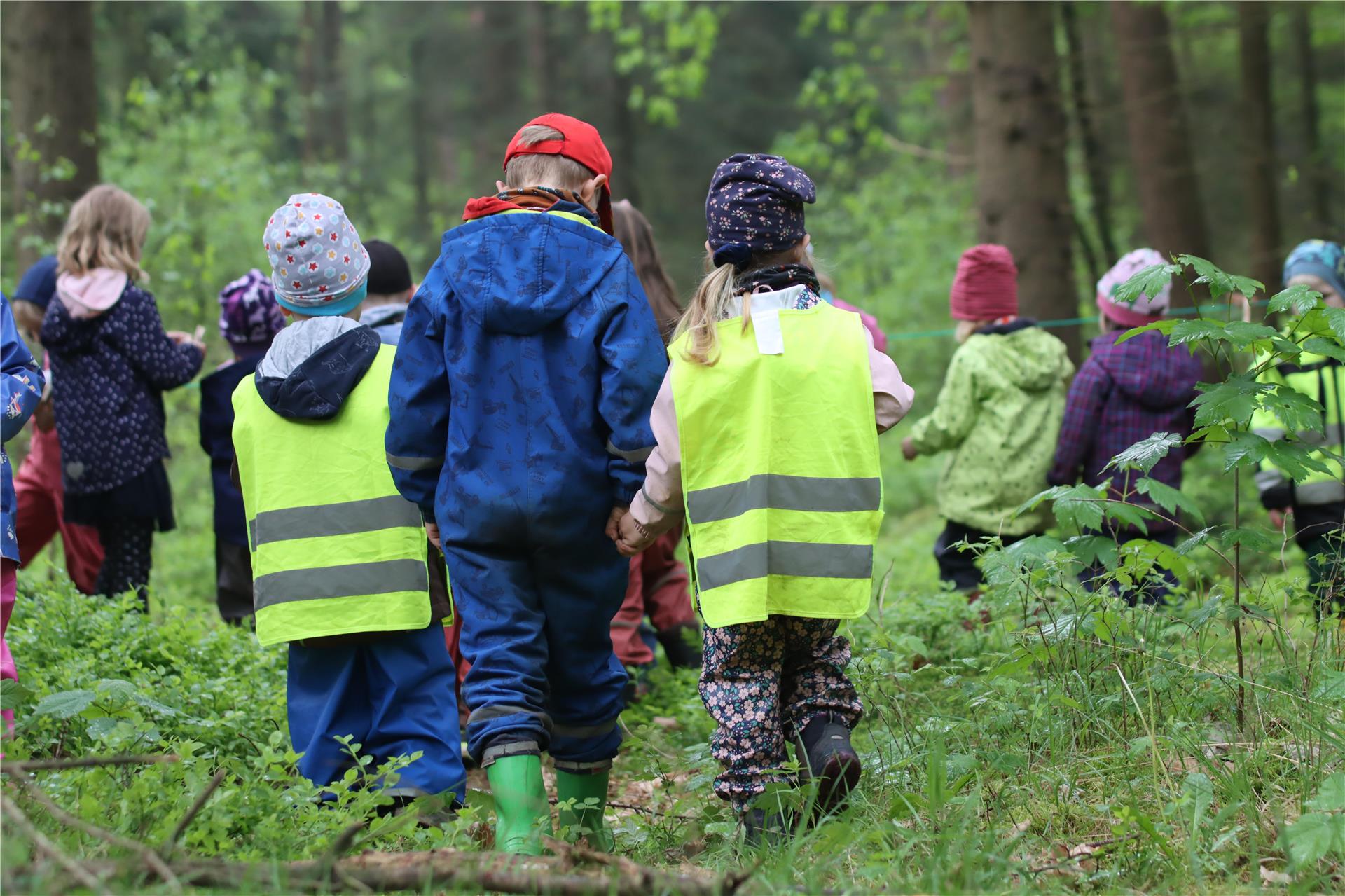 Kinder gehen durch einen Wald.