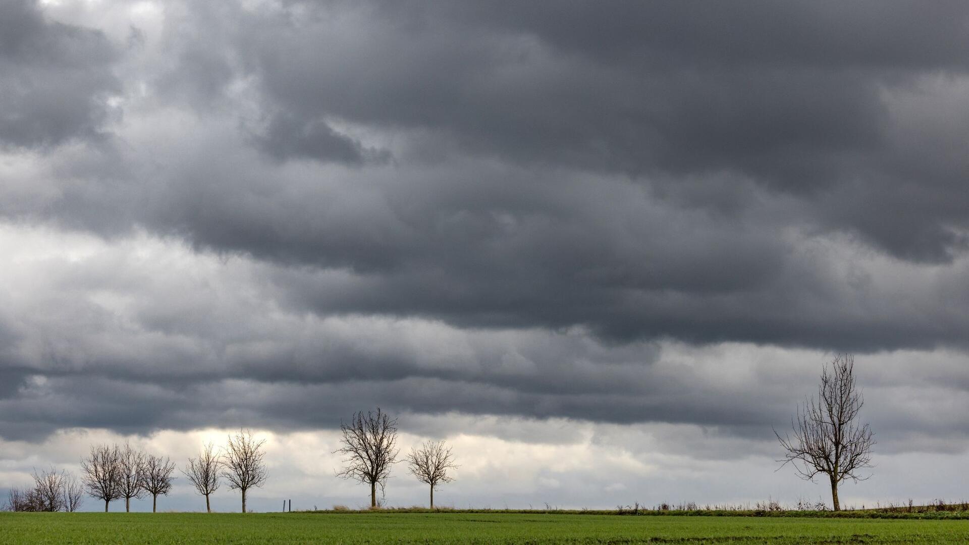 Dunkle Wolken ziehen über eine Baumallee.