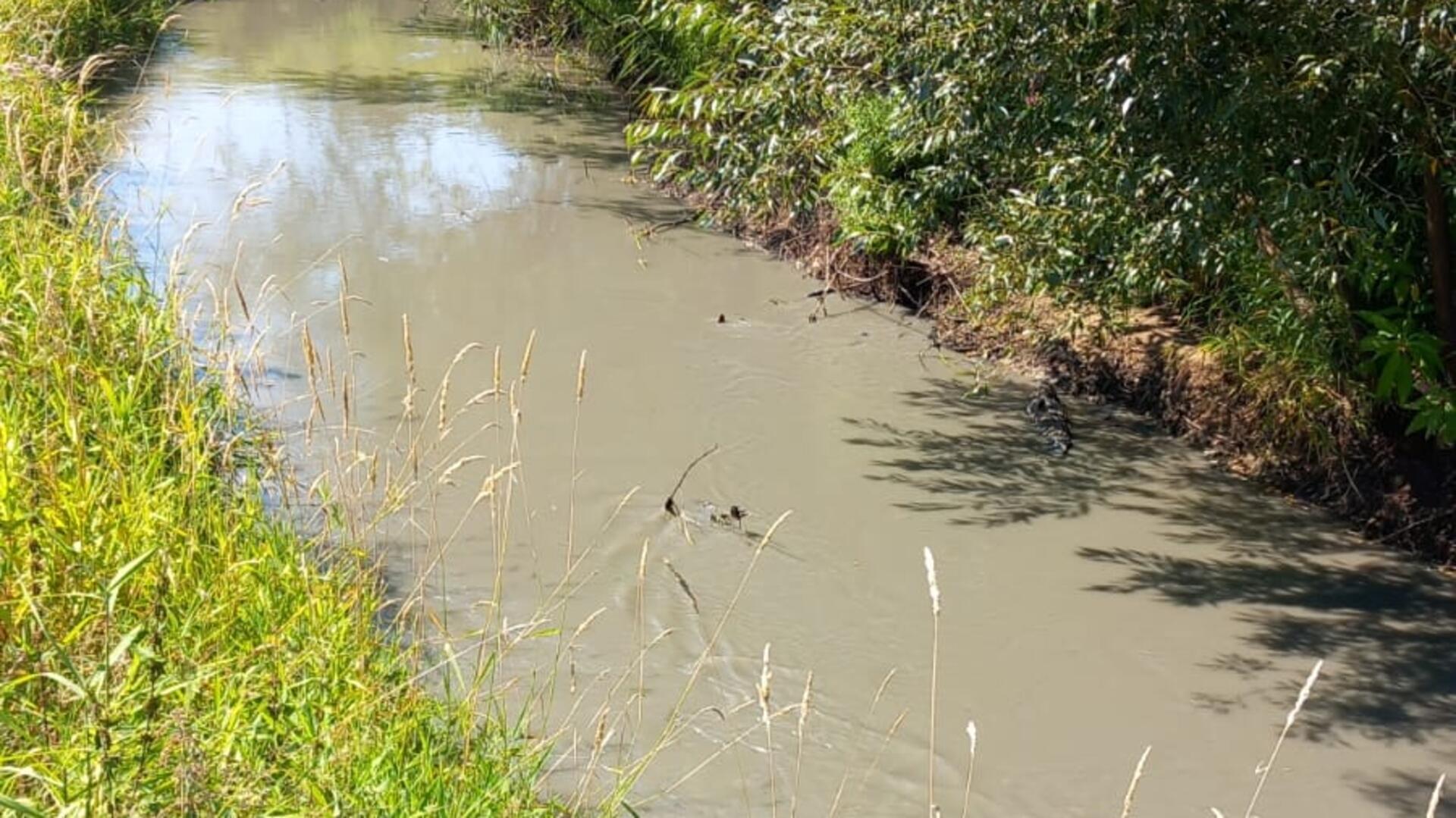 Ein Anblick der Oste, der die Angler wütend macht.