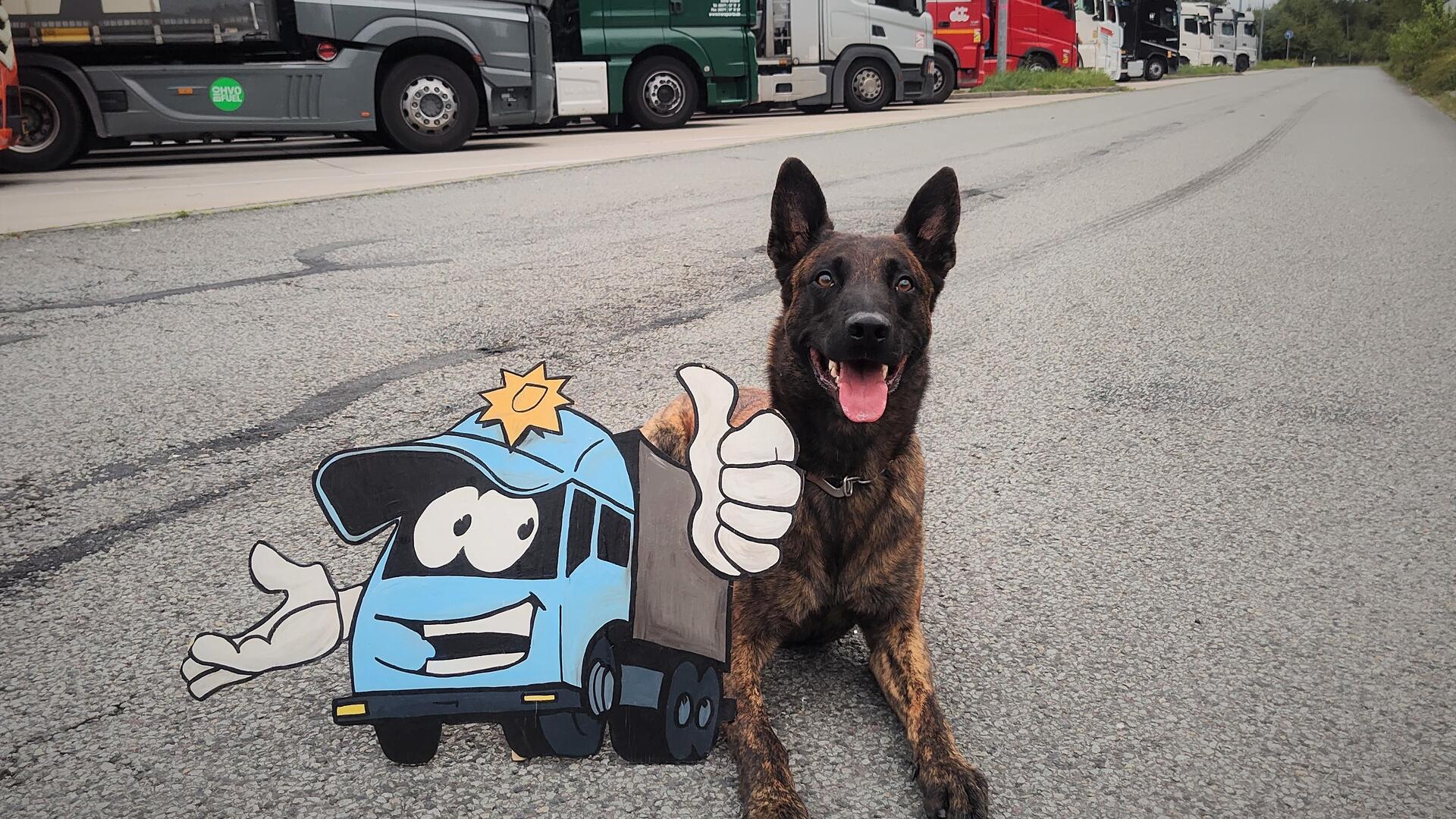 Ein Diensthund der Polizei freut sich auf seine Arbeit.