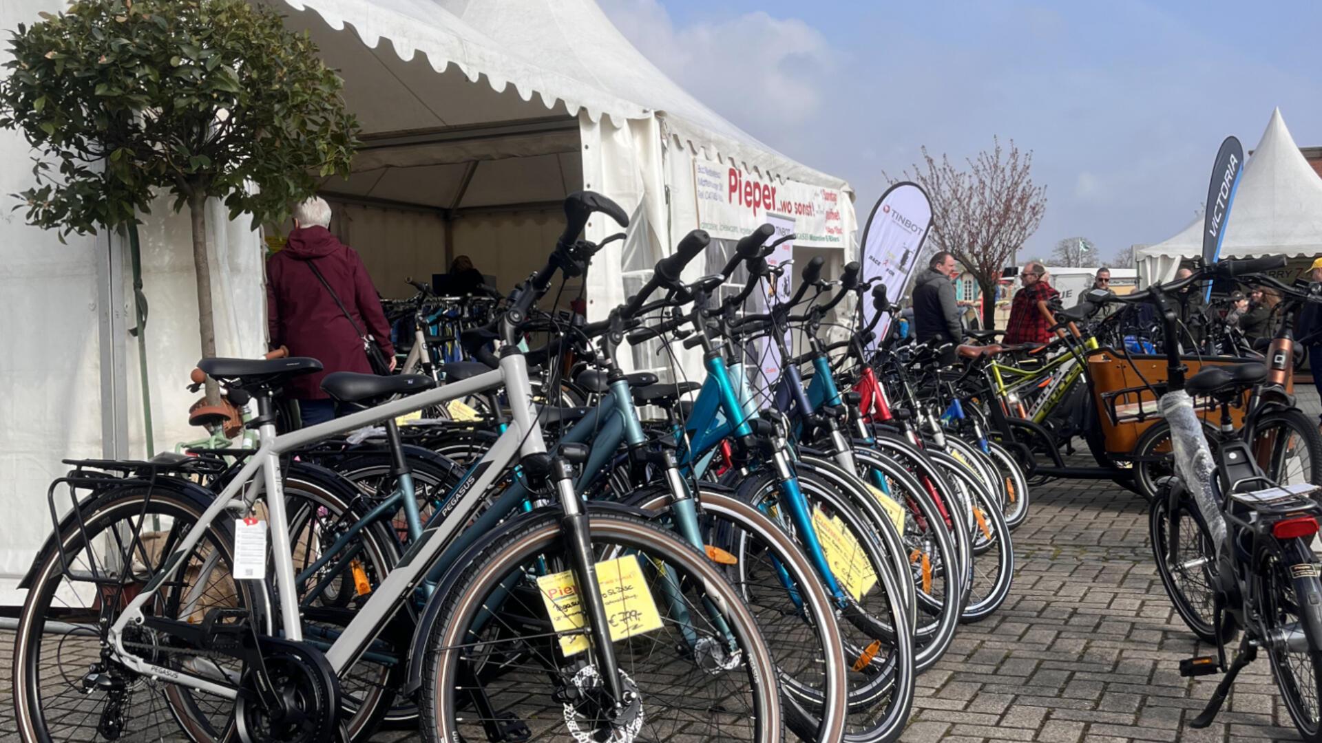 Ein Fahrrad neben dem anderen: Bei der Zweiradmesse kommen Fans ins Schwärmen.