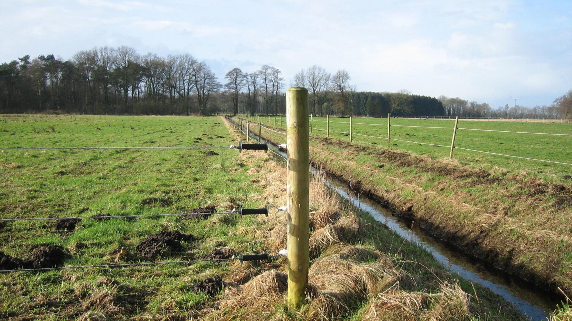 Ein Graben im Großen Moor bei Sittensen. Hier ist die Zaunöffnung mit Handgriffen am Stromzaun möglich.